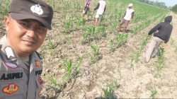 Diharapkan Semangat Patani Lokal Semakin Meningkat