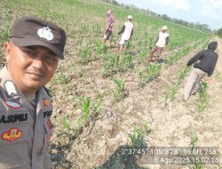 Diharapkan Semangat Patani Lokal Semakin Meningkat