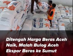 Ditengah Harga Beras Aceh Naik, Malah Bulog Aceh Ekspor Beras Ke Sumut