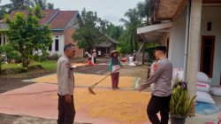 Kapolsek Tanjung Lago Cek Langsung Penjemuran Hasil Panen Jagung