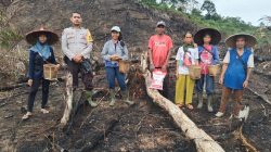 Bintara Penggerak Desa Temahar Aipda Gamal Silitonga Laksanakan Penanaman Bibit Jagung Hibrida R1 Nusantara