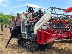 Polsek Rantau Bayur melaksanakan Panen Raya Padi IP 100 dan tanam IP 200 di Desa Srijaya Kec. Rantau Bayur Kab. Banyuasin