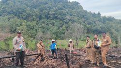 Penanaman Jagung Serentak di Lahan BUMDes Pongok, Wujud Dukung Program Ketahanan Pangan Nasional