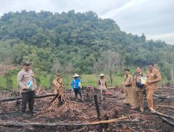Penanaman Jagung Serentak di Lahan BUMDes Pongok, Wujud Dukung Program Ketahanan Pangan Nasional