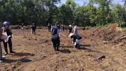 Penanaman Jagung Serentak di Desa Kerohok, Wujud Dukungan Program Ketahanan Pangan Nasional