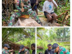 Satgas Yonif 131/Brajasakti Belajar dan Membantu Warga Wembi Membuat Sagu Tradisional