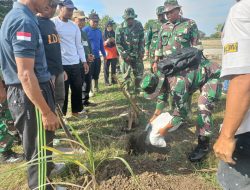 Hijaukan Lingkungan, Koramil Nogosari Tanam Pohon Buah di Potronayan