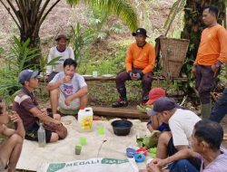 Personil Polsek Meranti Cek Pertumbuhan Demplot Tanaman Jagung Lahan Percontohan