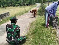 Babinsa Andong Dampingi Survei Jalan Baru, Dorong Peningkatan Infrastruktur Desa