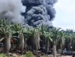 POSE RI Soroti Nihil Tersangka dalam 7 Kasus Kebakaran Minyak Ilegal di Keluang