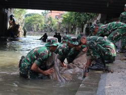 Pasca Banjir Bali, Kodam IX/Udayana Terjunkan Ratusan Prajurit Bantu Evakuasi dan Distribusi Bantuan