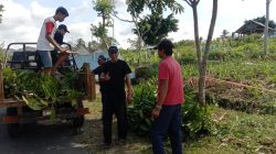 H-6 Jelang Kirab Budaya Sumberpetung Harmoni Nusantara, Warga Gelar Kerja Bakti Bersihkan Rute Karnaval