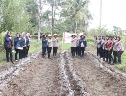 HUT Polwan ke-77, Polwan Polda Sumsel Ajak Masyarakat Tanam Jagung untuk Ketahanan Pangan