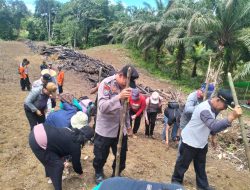 Penanaman Jagung Serentak 1 Desa 1 Hektar di Kecamatan Sengah Temila, Dorong Ketahanan Pangan Nasional
