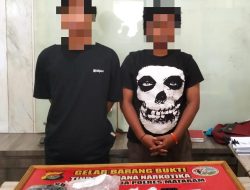 Dua Orang Mahasiswa Ditangkap Polisi, Amankan Paket Ganja 800 Gram