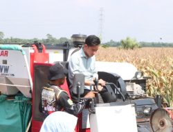 Wakil Presiden Gibran Panen Jagung dan Silaturahmi ke Ponpes di Banyuasin, Situasi Aman dan Kondusif