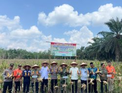 Dukung Swasembada Pangan, Polres Mesuji Panen Jagung 10 Ton di Desa Eka Mulya