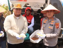 Polres Banyuasin Laksanakan Panen Jagung Serentak Kuartal III untuk Mendukung Swasembada Pangan 2025