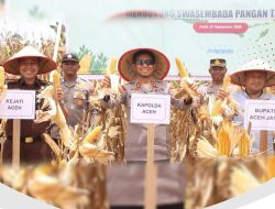 Kapolda Panen 24,5 Ton Jagung pada Kuartal III di Aceh Jaya