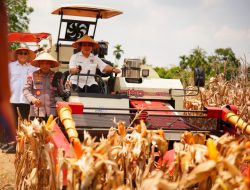 Gerakan Pangan Murah Polri Salurkan 1.386 Ton Beras SPHP di Tengah Panen Raya Kuartal III