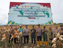 Panen Raya Jagung Satukan Langkah : Kodam Kasuari, Polda dan Pemerintah Papua Barat Kompak Dukung Swasembada Pangan 2025