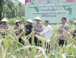 Panen Raya Jagung Kuartal III, Kapolres Aceh Tengah dan Forkopimda Kompak Dukung Swasembada Pangan Nasional
