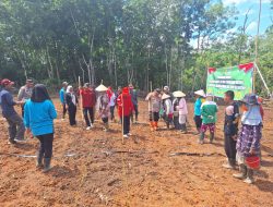 Polsek Rantau Bayur Dukung Ketahanan Pangan Melalui Penanaman Jagung di Desa Talang Kemang