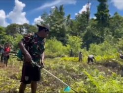 Satgas Pamtas RI-PNG Kewilayahan Yonif 763/SBA Pos Afkrem Laksanakan Kegiatan Binter Berupa Kerja Bakti Membersihkan Lingkungan di Sekitar Kampung Afkrem