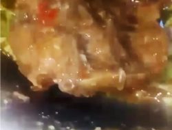 Siswa MIN Tolobali Kota Bima Geger Temukan Ulat di Menu Makan MBG