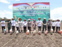 Polda Sumsel Dorong Ketahanan Pangan, Kapolda Tanam Jagung Bersama Forkopimda