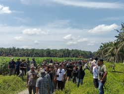 450 Personel Diterjunkan, Penertiban Lahan PT SIP Berjalan Kondusif di Mesuji