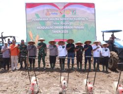 Kapolres Simalungun Pimpin Penanaman Jagung 52 Hektar, Dukung Program Swasembada Pangan Nasional