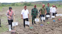 Kapolda Maluku Dukung Ketahanan Pangan Nasional Lewat Penanaman Jagung Serentak Kuartal IV