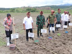 Kapolda Maluku Dukung Ketahanan Pangan Nasional Lewat Penanaman Jagung Serentak Kuartal IV