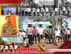 Kapolres Pidie Jaya dan Forkopimda Tanam Jagung Serentak Kuartal IV, Dukung Swasembada Pangan Nasional 2025