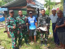 Perkuat Ekonomi Masyarakat lewat Bantuan Bibit Ternak Melalui Pemerintah Pusat Kepada Tokoh Adat dan Tokoh Masyarakat di PBD