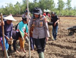Demplot Presisi Kwartal IV Dimulai, Polres Landak Ajak Warga Desa Nyiin Wujudkan Ketahanan Pangan