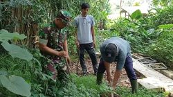 Babinsa Dan Warga Ngadirejo, Tanam Pohon Beringin Dan Saman Untuk Lestarikan Alam Dan Sumber Air