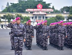 Ratusan Petarung Muda Baret Ungu Siap Perkuat Jajaran Pasmar 1