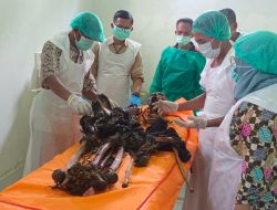 Polda Sumsel Selidiki Penemuan Tulang Belulang Manusia di Kebun Pisang OKU Selatan