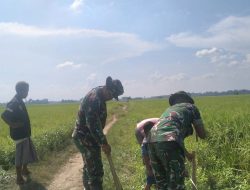 Sinergi TNI dan BWS Sumatera I, Karya Bakti Irigasi Perkuat Pertanian di Aceh Utara