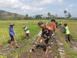 Babinsa Margomulyo Bantu Warga Timbun Jalan Pertanian Untuk Lancarkan Akses