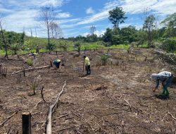 Bintara Penggerak Polsek Meranti Ikuti Kegiatan Penanaman Jagung 1 Desa 1 Hektar di Desa Selange Wilayah Kecamatan Meranti