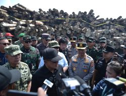 Apresiasi Kepala BPKP RI untuk Satgas PKH! Kasus Illegal Logging Rp 240 Miliar di Gresik Terungkap