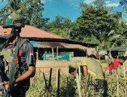 Satgas Pamtas RI-PNG Yonif 763/SBA Pos Kokoda Berbagi Hasil Panen Kepada Masyarakat