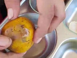 Siswa Keluhkan MBG Tak Layak Konsumsi, SPPG Labuan Kananga Oktavia Tambora Diduga Salurkan Makanan Busuk