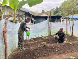 Dukung Ketahanan Pangan Nasional, Satgas Yonif 521/DY Manfaatkan Lahan Kosong di Sekitar Pos