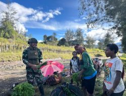 Satgas Yonif 700/WYC Borong Hasil Tani Warga Nipuralome: Bukti Cinta TNI untuk Tanah Papua