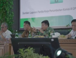 Tumbuhkan Sumber Ekonomi Baru, Pemerintah Dorong Pemda Manfaatkan Potensi Pariwisata Lokal