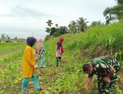 Karya Bakti TNI-Masyarakat Tingkatkan Infrastruktur Irigasi di Wilayah Kodim 0103/Aceh Utara